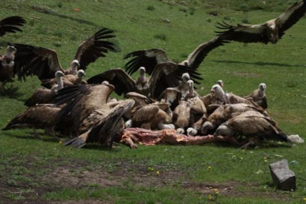 Sky Burial